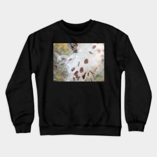 Milkweed Seeds Crewneck Sweatshirt